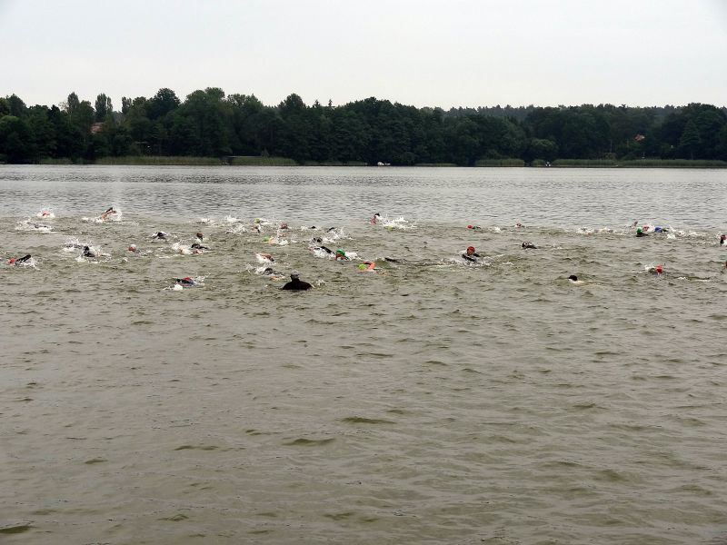 Die Teilnehmer des Triathlons im Wasser