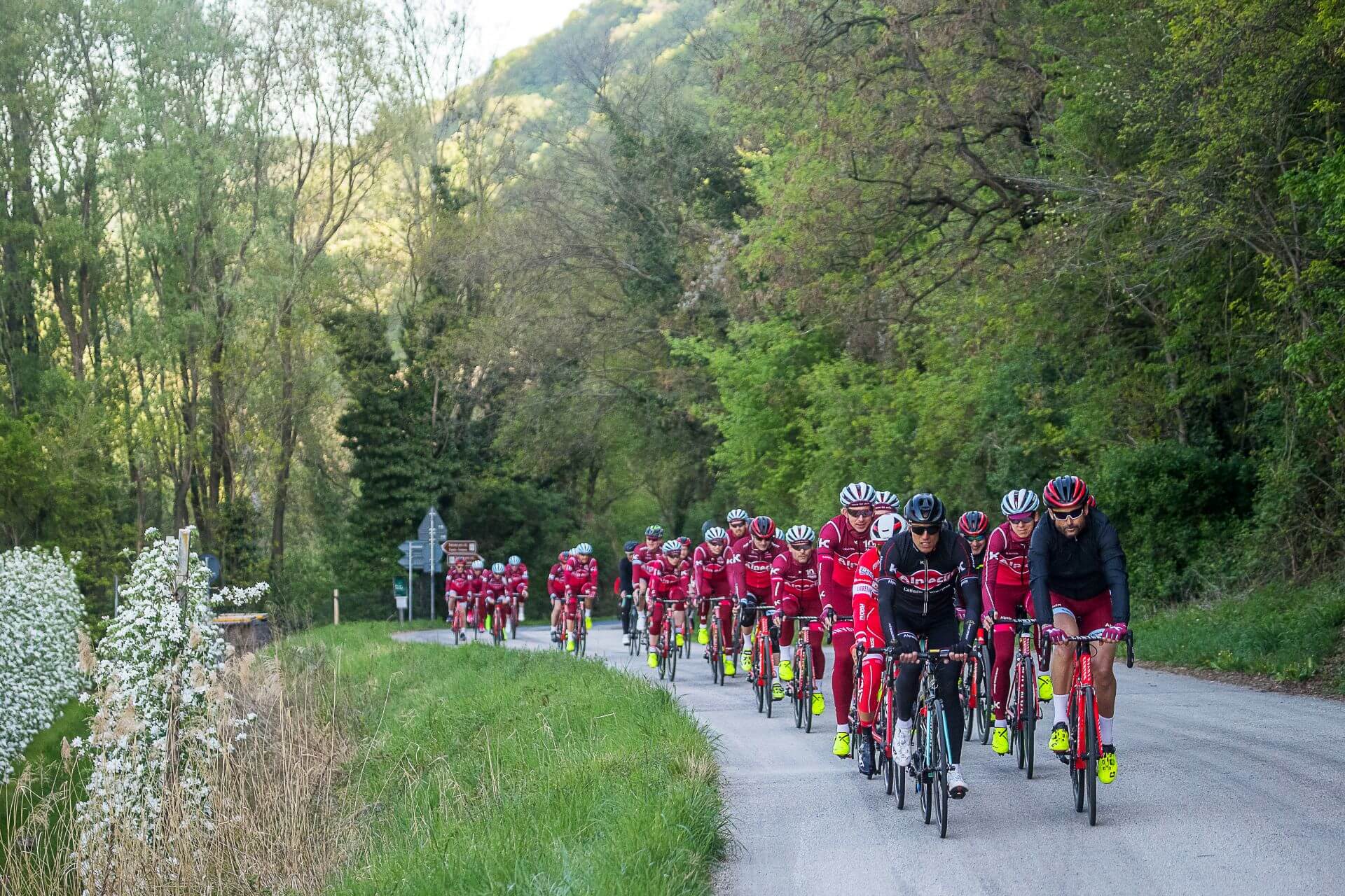 in großer Gruppe fahren beim Alpecin Trainingslager 2017