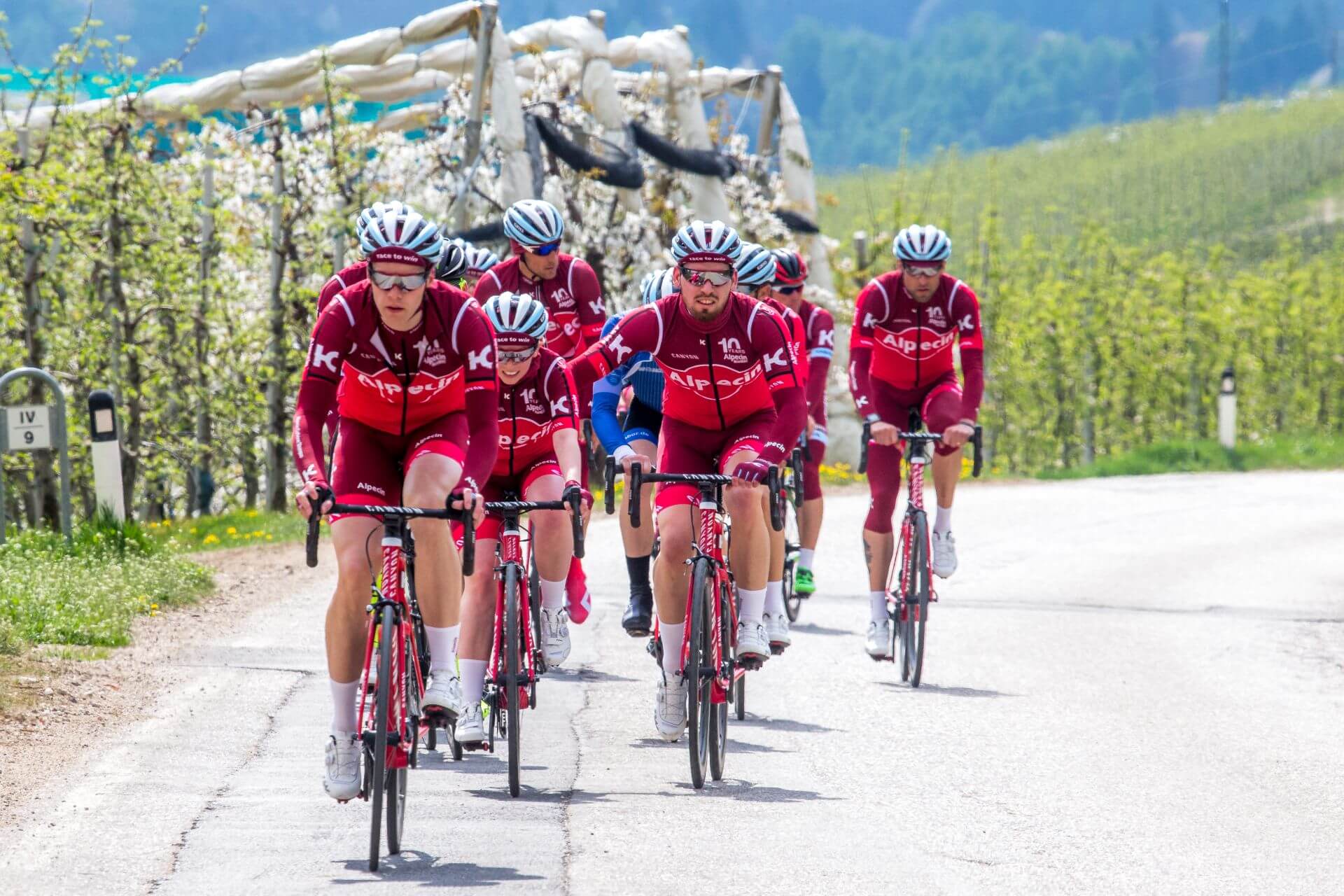 Teamwork beim Alpecin Trainingslager 2017